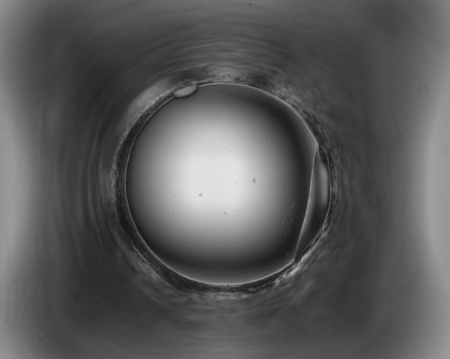X0000085210242200703091145
