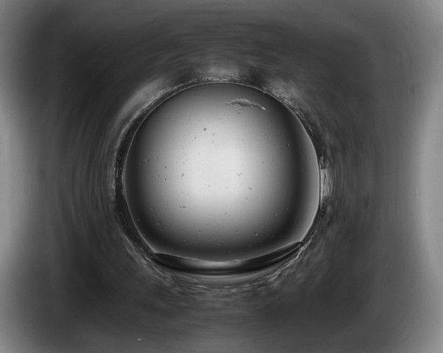 X0000085210243200703091145