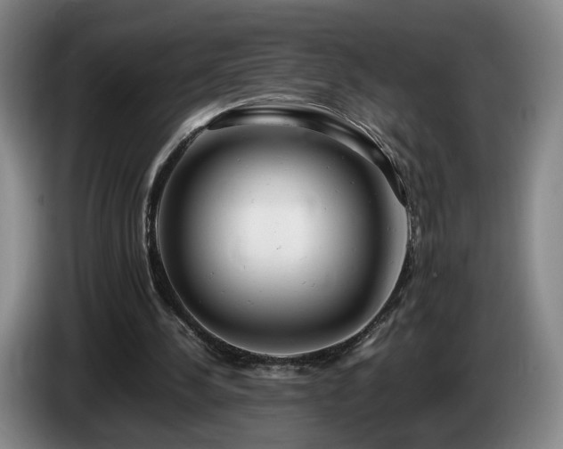 X0000085210244200703091145