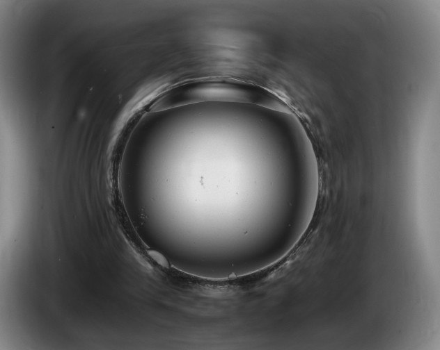 X0000085210245200703091145