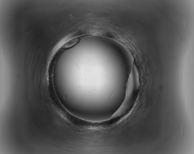 X0000085210246200703091145
