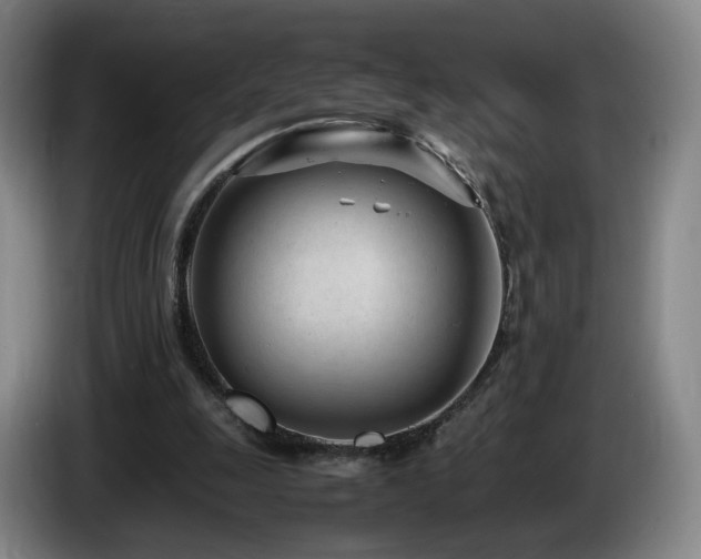 X0000085210247200703091145