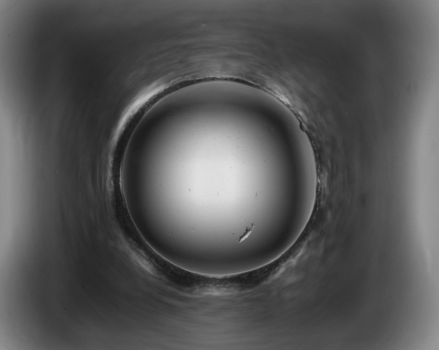 X0000085210248200703091145