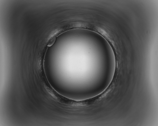X0000085210249200703091145
