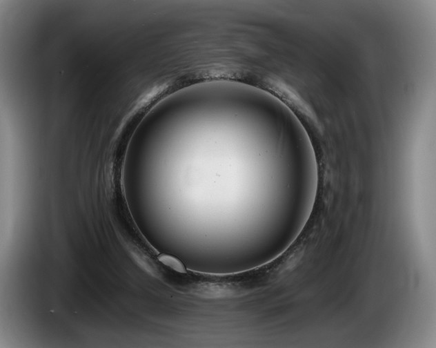X0000085210250200703091145