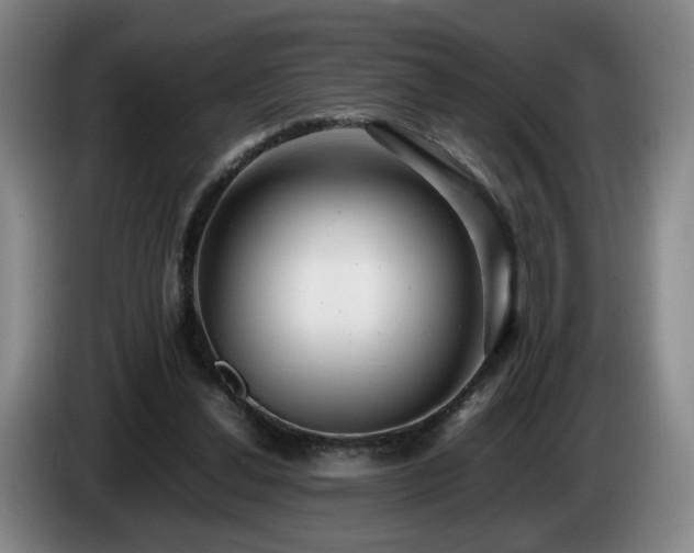 X0000085210252200703091145
