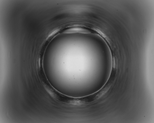 X0000085210253200703091145