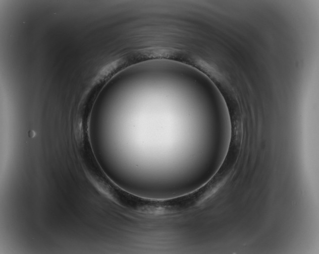 X0000085210254200703091145