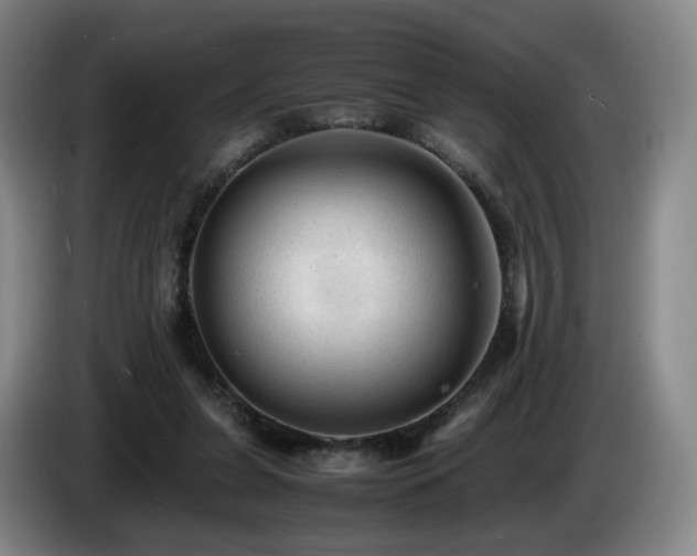 X0000085210255200703091145