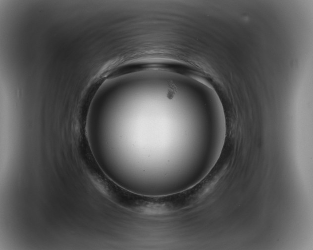 X0000085210256200703091145