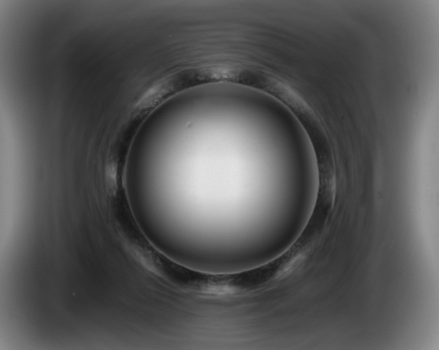 X0000085210262200703091145