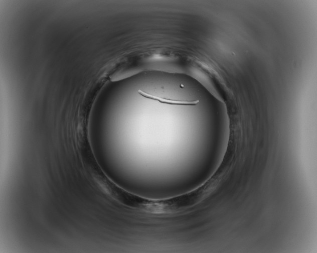 X0000085210265200703091145