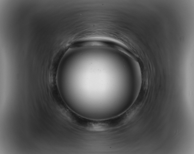 X0000085210268200703091145