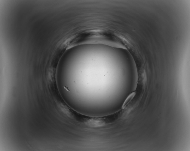 X0000085210280200703091145