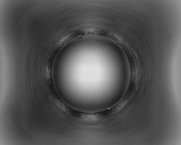 X0000085210282200703091145