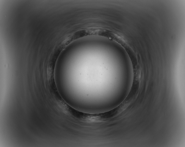 X0000085210283200703091145