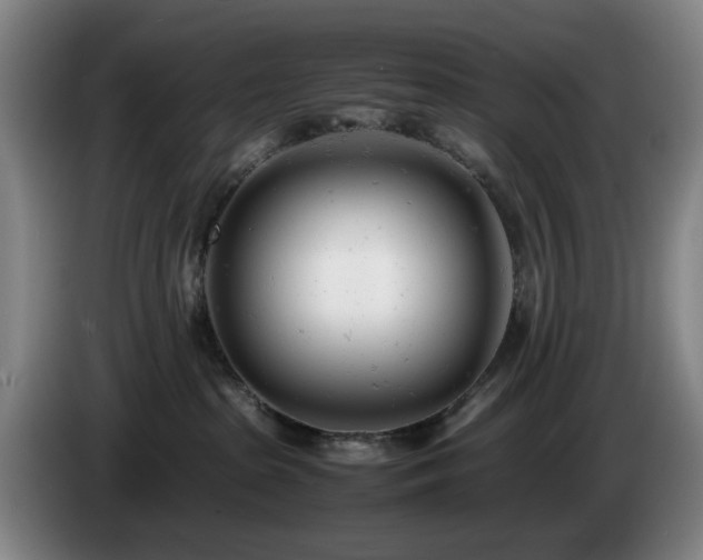 X0000085210285200703091145