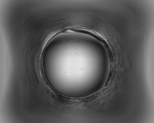 X0000085210289200703091144