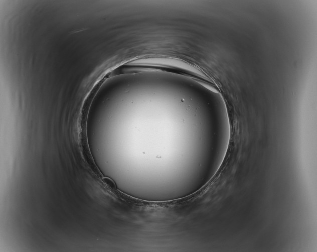 X0000085210290200703091144