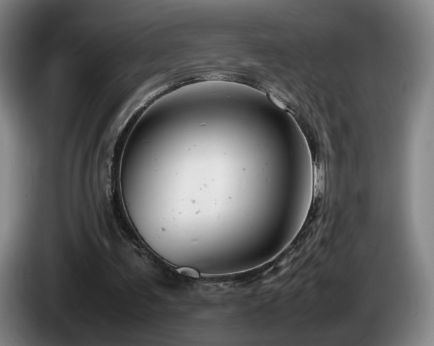 X0000085210291200703091144