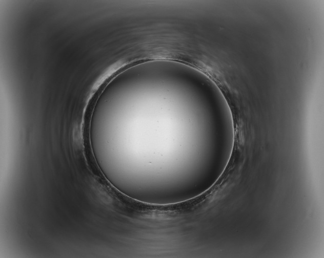 X0000085210292200703091144