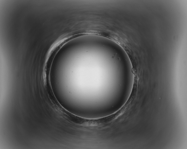 X0000085210294200703091144