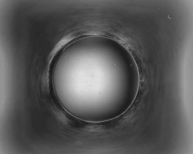 X0000085210296200703091144