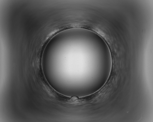 X0000085210297200703091144