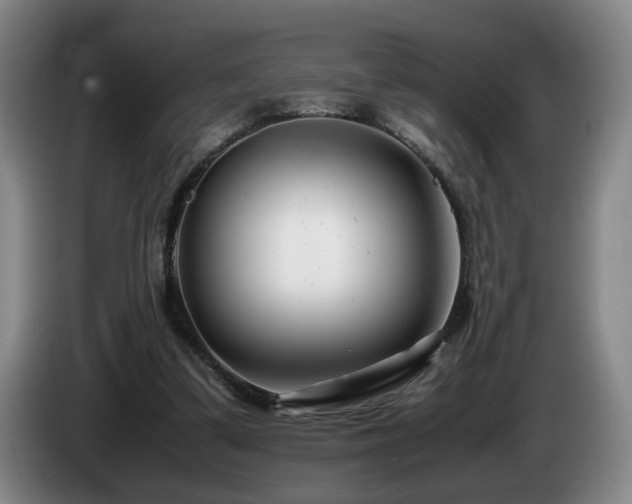 X0000085210299200703091144