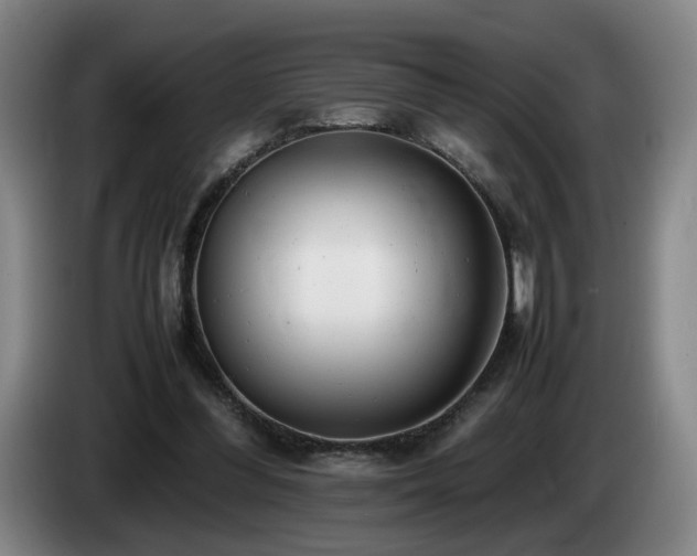 X0000085210300200703091144