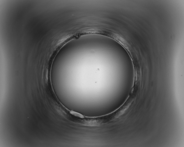 X0000085210301200703091144