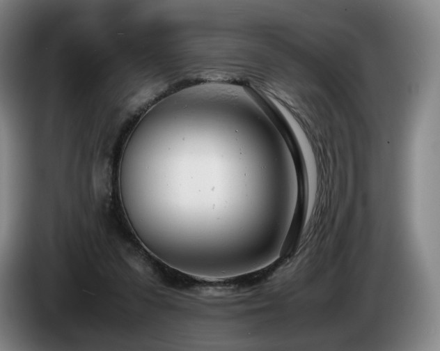 X0000085210303200703091144