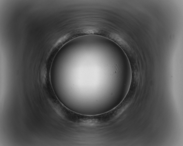 X0000085210304200703091144