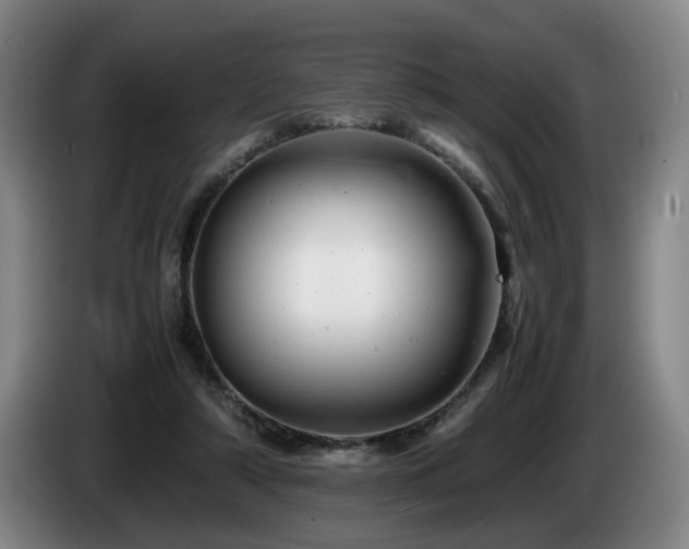 X0000085210306200703091144