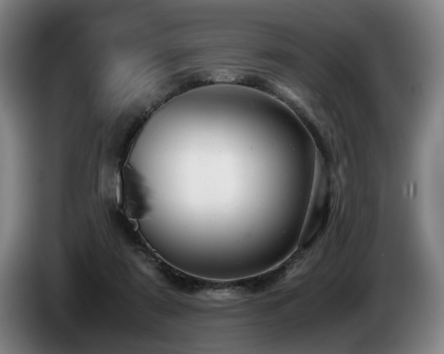 X0000085210307200703091144