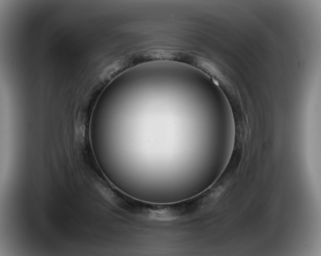 X0000085210309200703091144