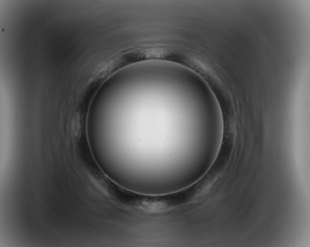 X0000085210311200703091144