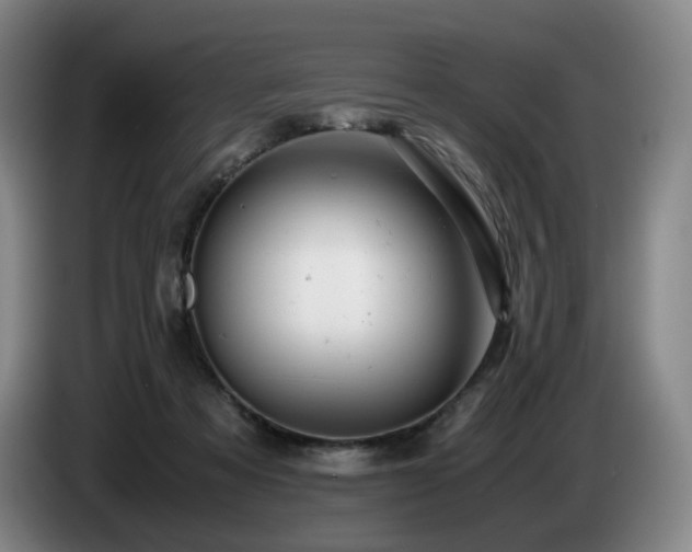 X0000085210313200703091144