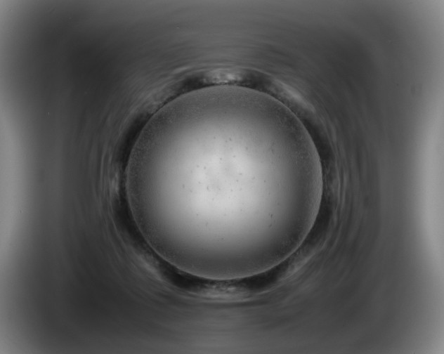X0000085210315200703091144