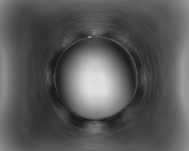X0000085210316200703091144