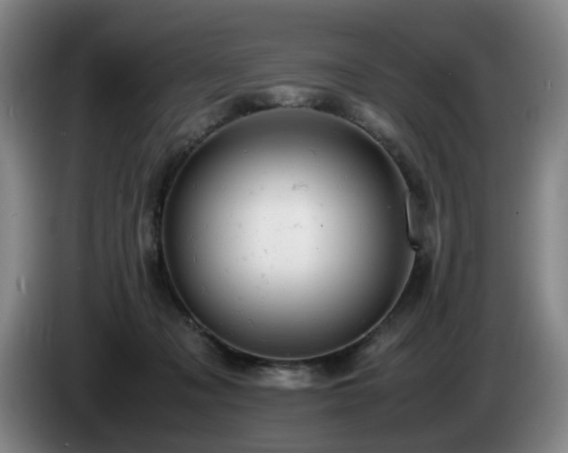 X0000085210317200703091144