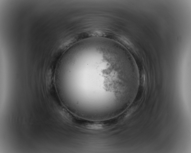 X0000085210318200703091144