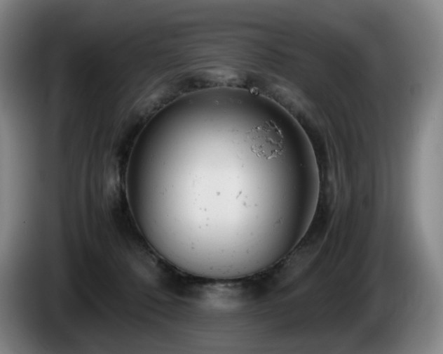 X0000085210320200703091144