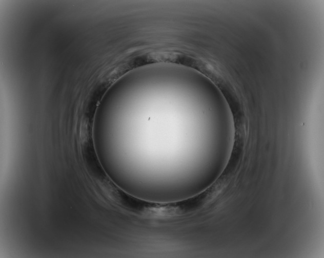 X0000085210323200703091144