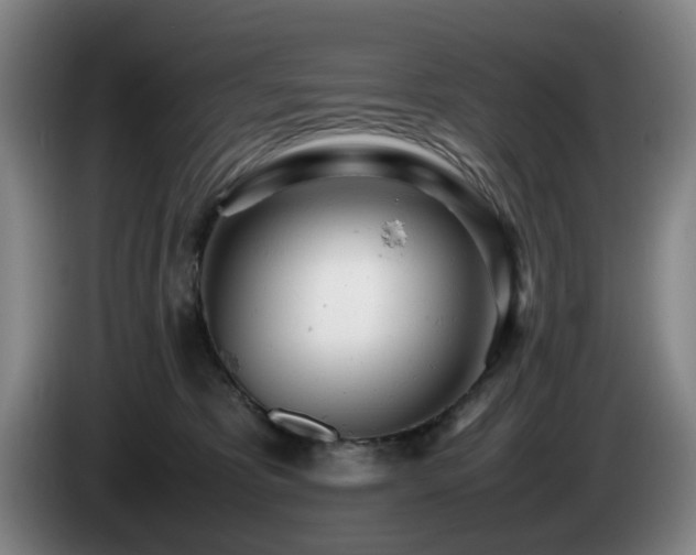 X0000085210325200703091144