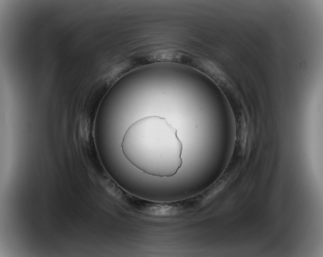 X0000085210326200703091144
