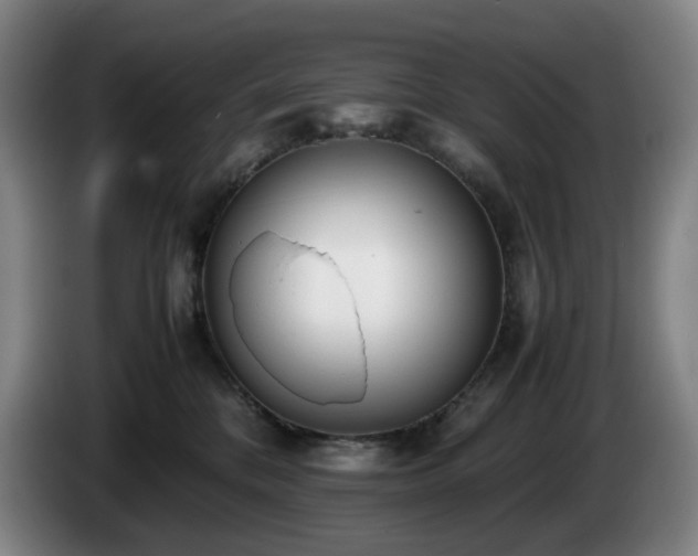 X0000085210328200703091144
