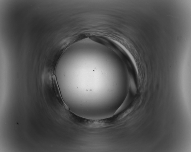 X0000085210329200703091144
