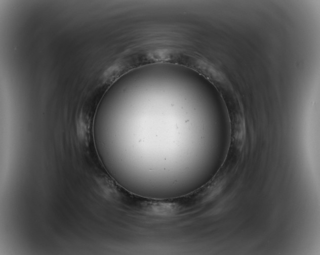 X0000085210332200703091144
