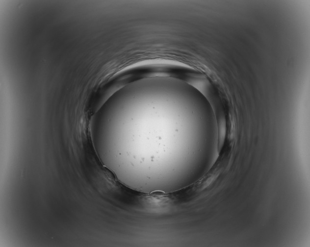 X0000085210333200703091144